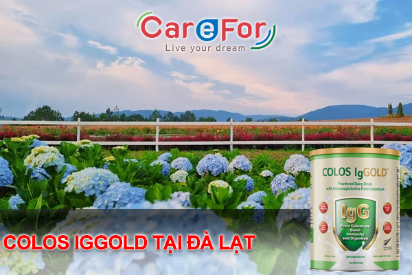 Mua sữa Colos Iggold tại Đà Lạt - Lâm Đồng chính hãng ở đâu