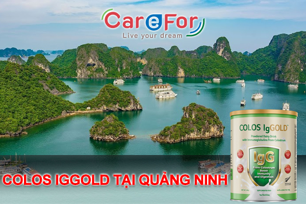 Sữa Colos IgGold chính hãng mua ở đâu tại Quảng Ninh